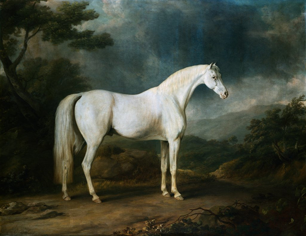 Detail of White Horse in a Wooded Landscape by Sawrey Gilpin