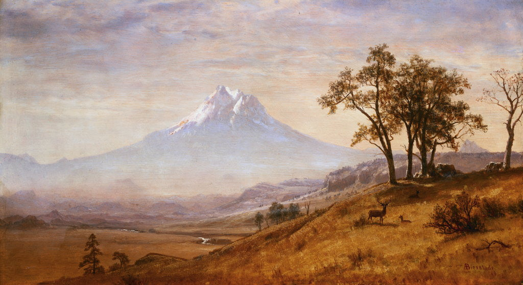 Detail of Mount Hood by Albert Bierstadt