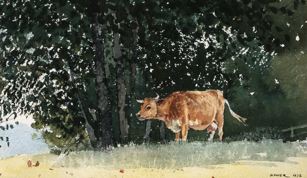Detail of Cow in Pasture by Winslow Homer