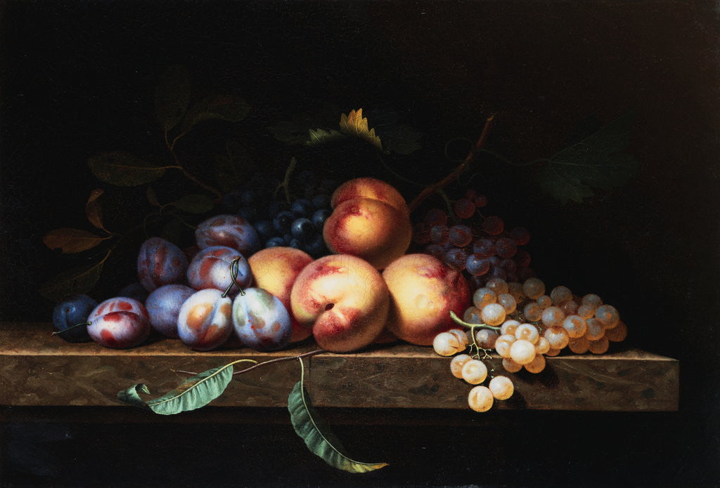 Detail of Peaches, Plums and Grapes on a Stone Ledge by Paul Liegois