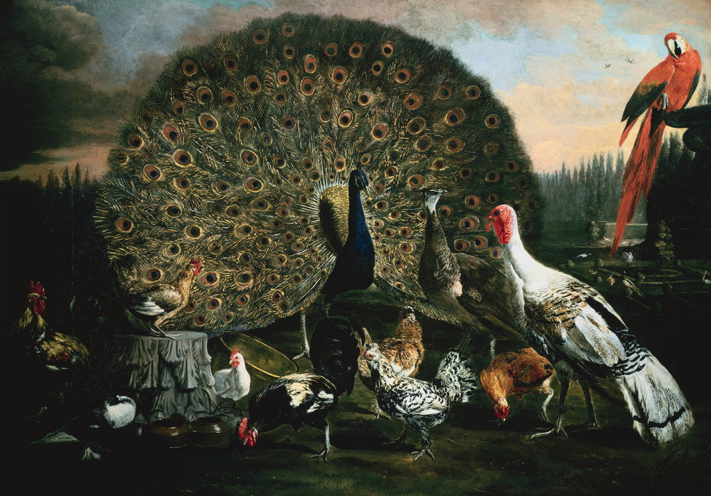 Detail of A Peacock and Other Birds in a Park by Jacomo Victors