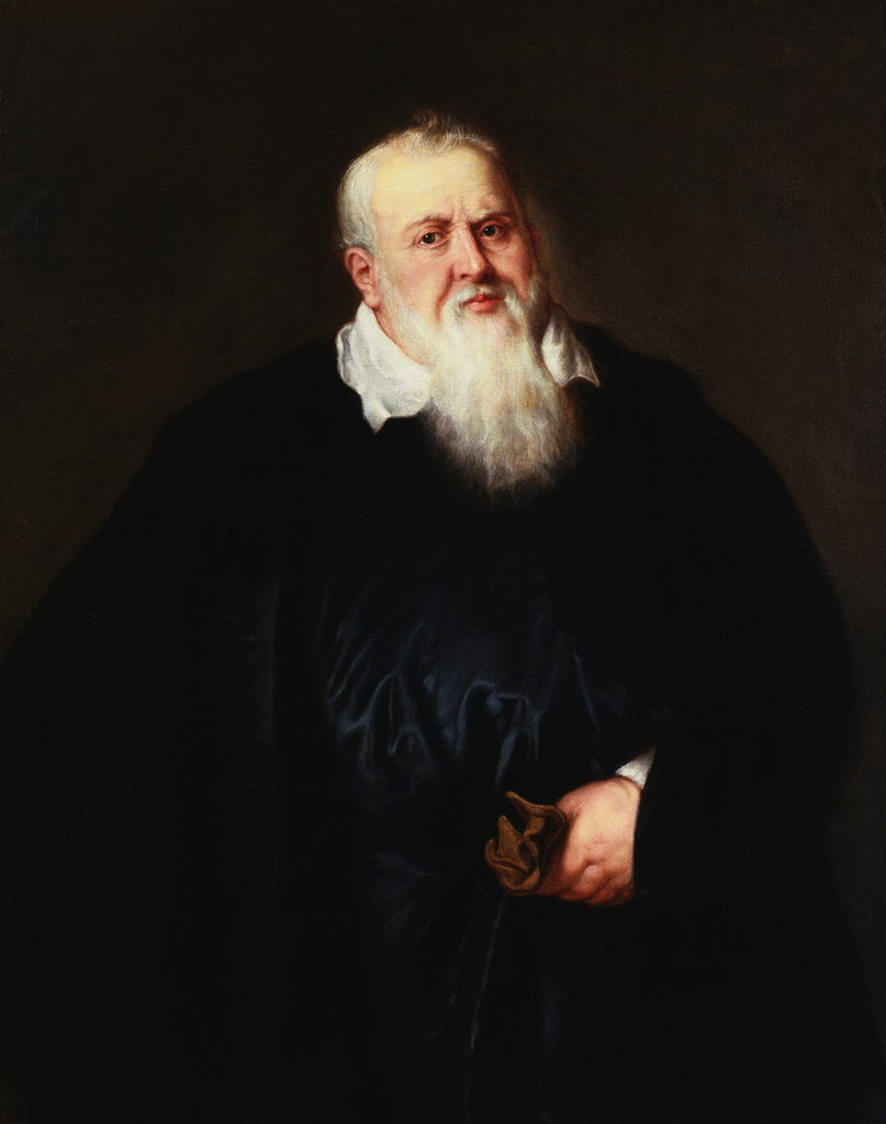 Detail of Portrait of Sir Theodore Turquet de Mayerne by Peter Paul Rubens