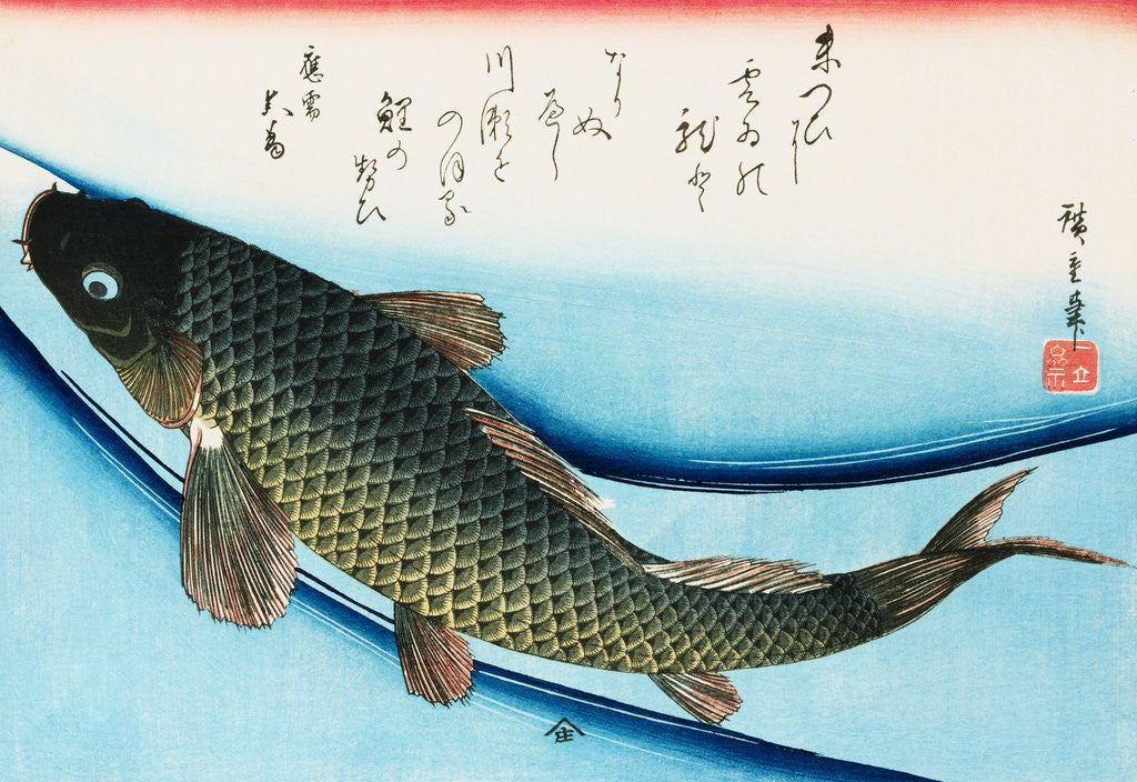 Detail of Swimming Carp by Utagawa Hiroshige