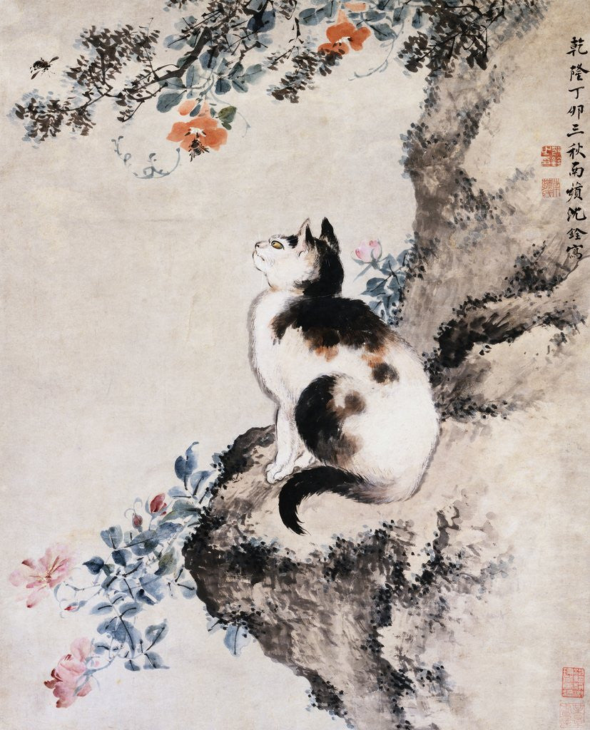 Detail of Cat by Shen Quan