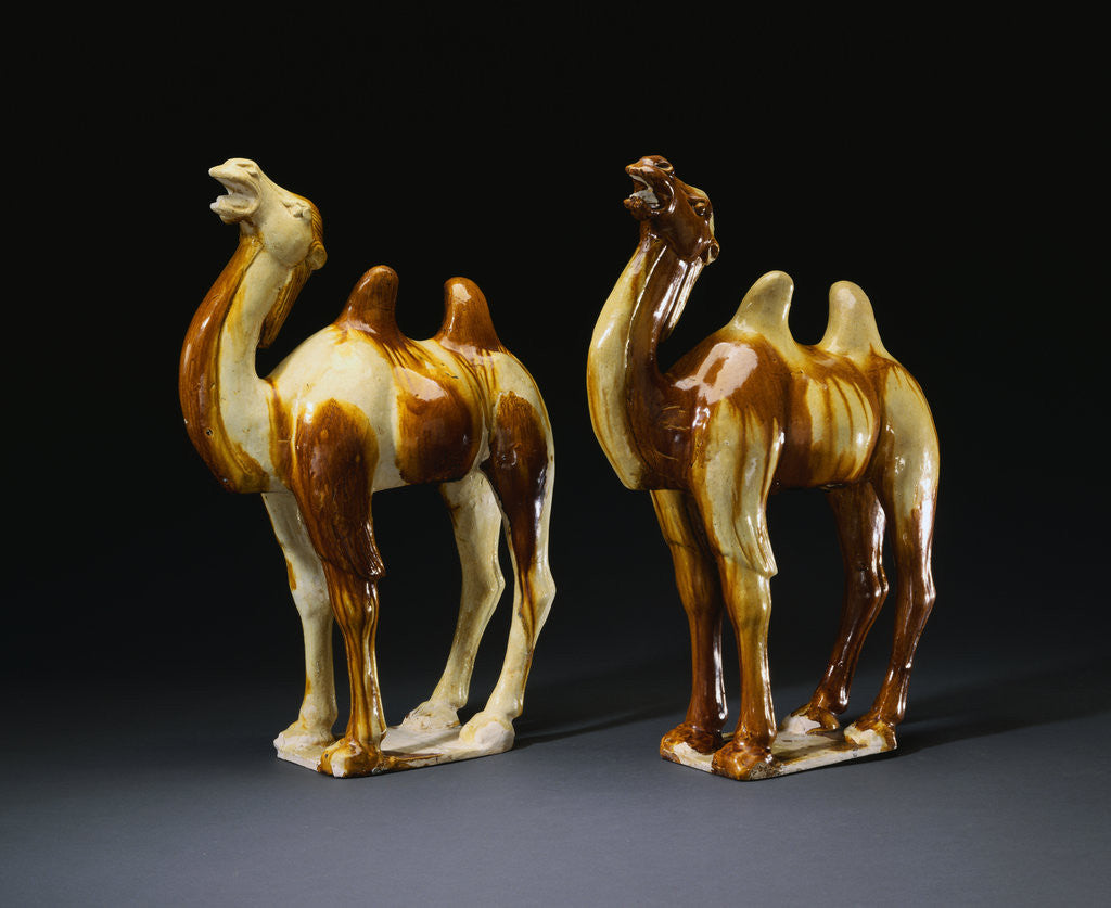 Detail of A Rare Pair of Sancai-Glazed Pottery Figures of Braying Bactrian Camels by Anonymous