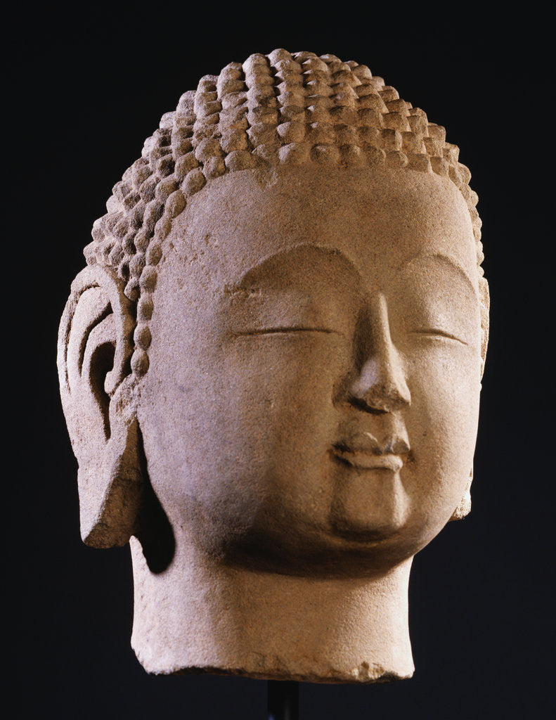 Detail of A Sandstone Head of Buddha. Northern Qi Dynasty by Anonymous