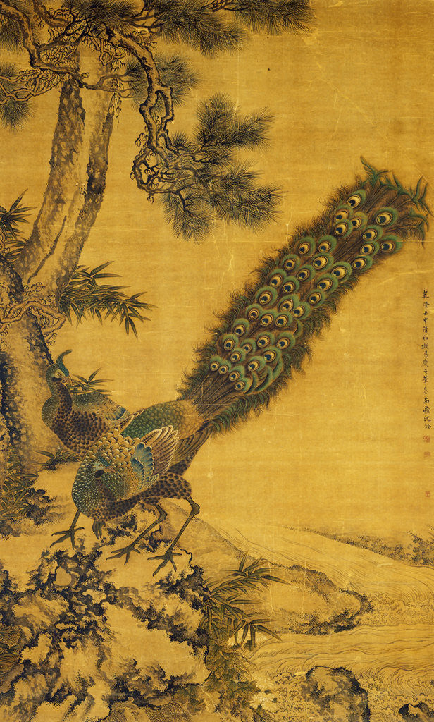 Detail of Bamboo, Pine and Peacocks. Hanging Scroll, 1752 by Shen Quan