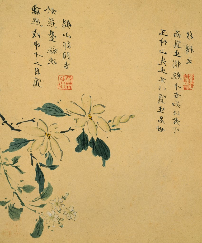 Detail of Flowers, from an Album of Ten Leaves (I.) by Zhou Xianji
