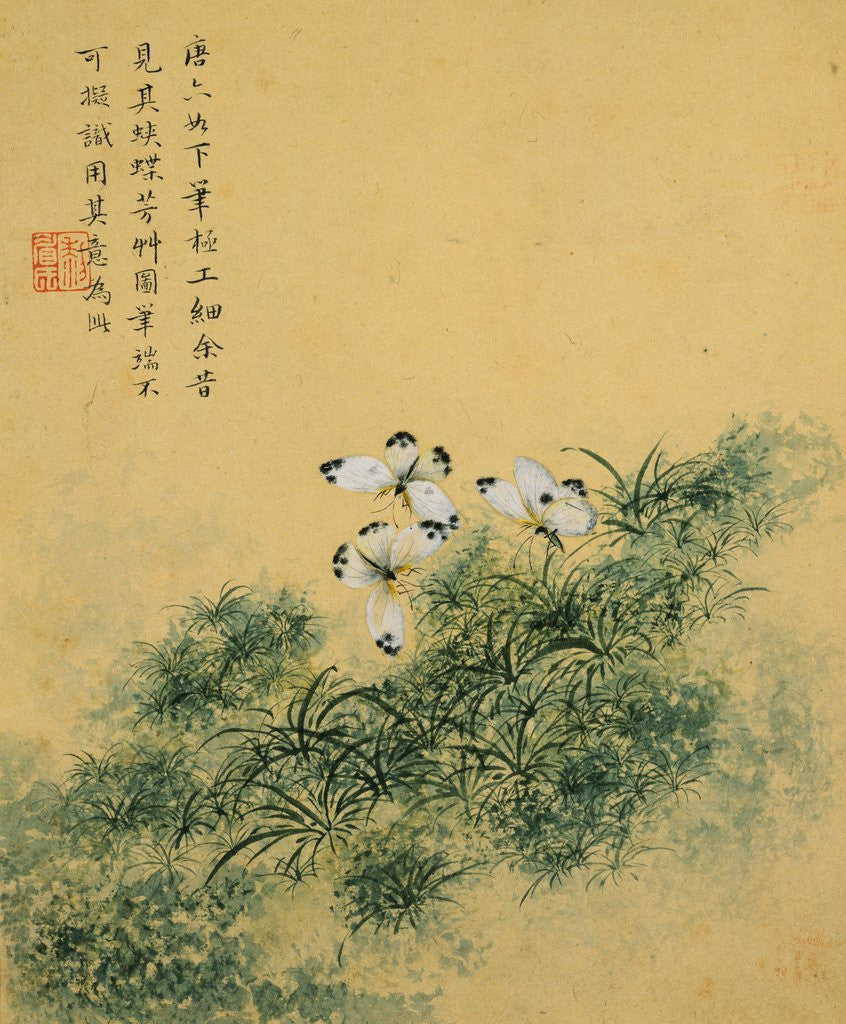 Detail of Flowers, from an Album of Ten Leaves (Butterflies) by Zhou Xianji