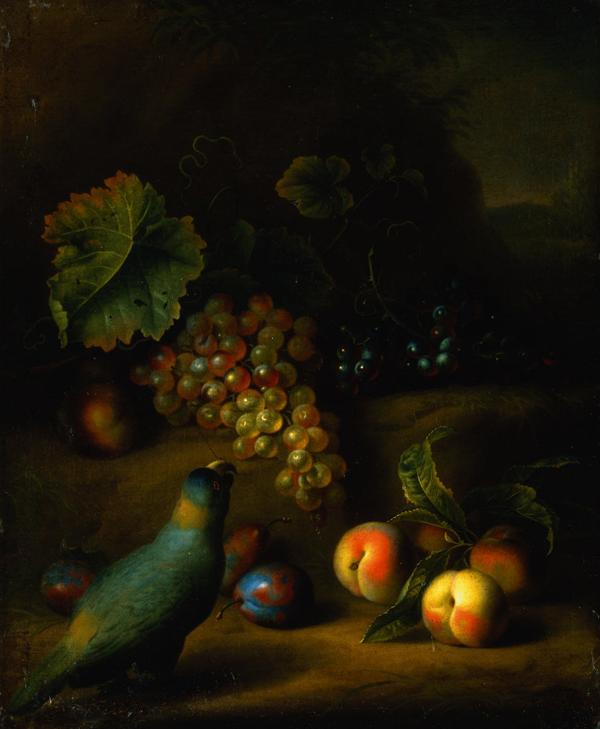 Detail of Painting of a Parrot with Grapes, Peaches and Plums in a Landscape by Tobias Stranover