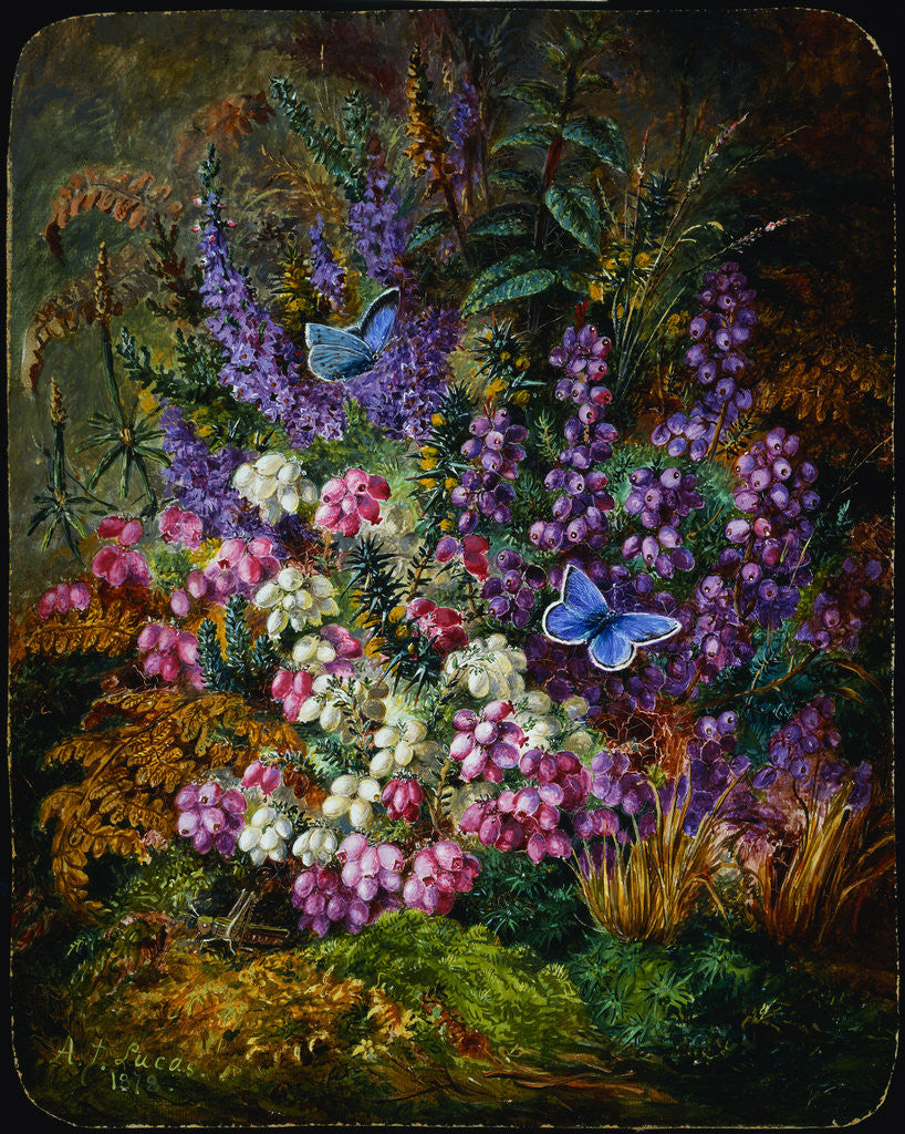 Detail of Painting of Blue Butterflies and Wildflowers by Albert Durer Lucas