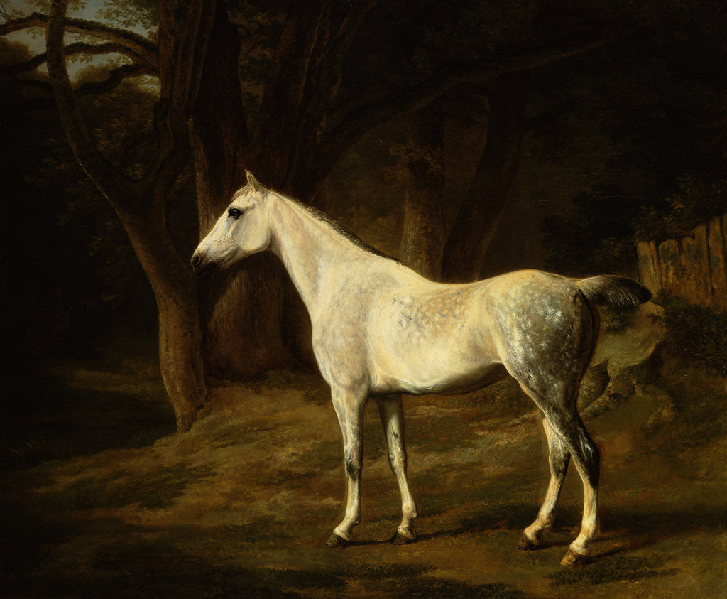Detail of A Grey Hunter in a Woodland Landscape by Agasse Jacques Laurent
