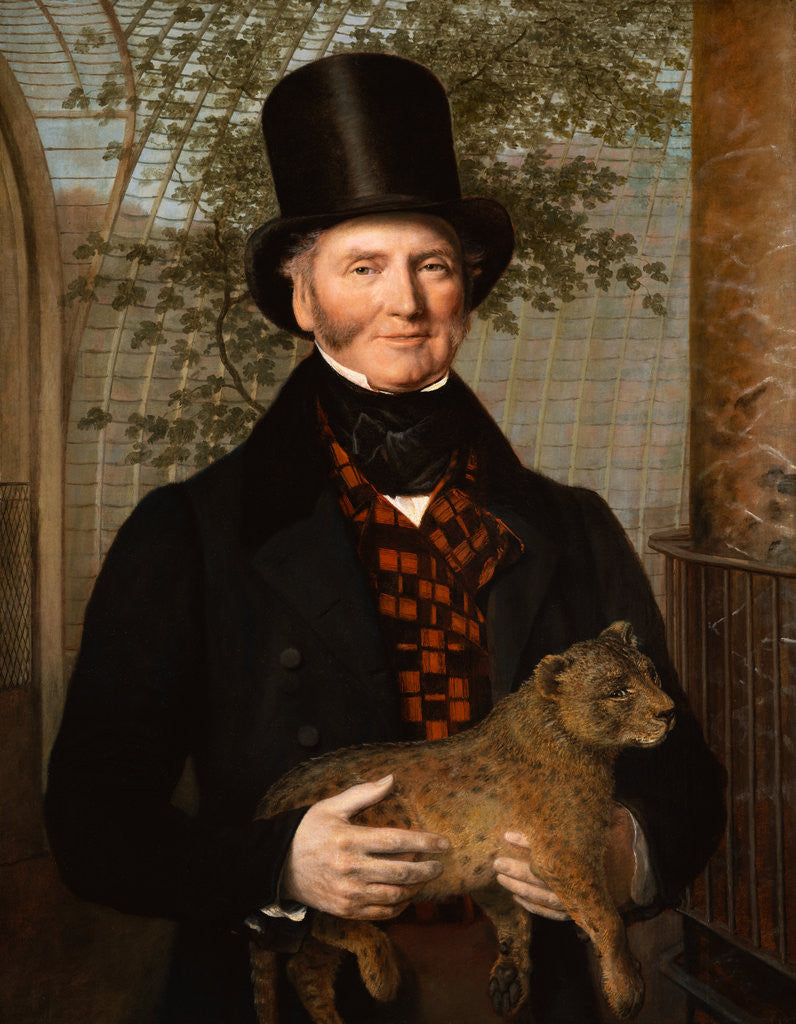 Detail of Portrait of Edward Cross Holding a Lion Cub by Jacques- Laurent Agasse
