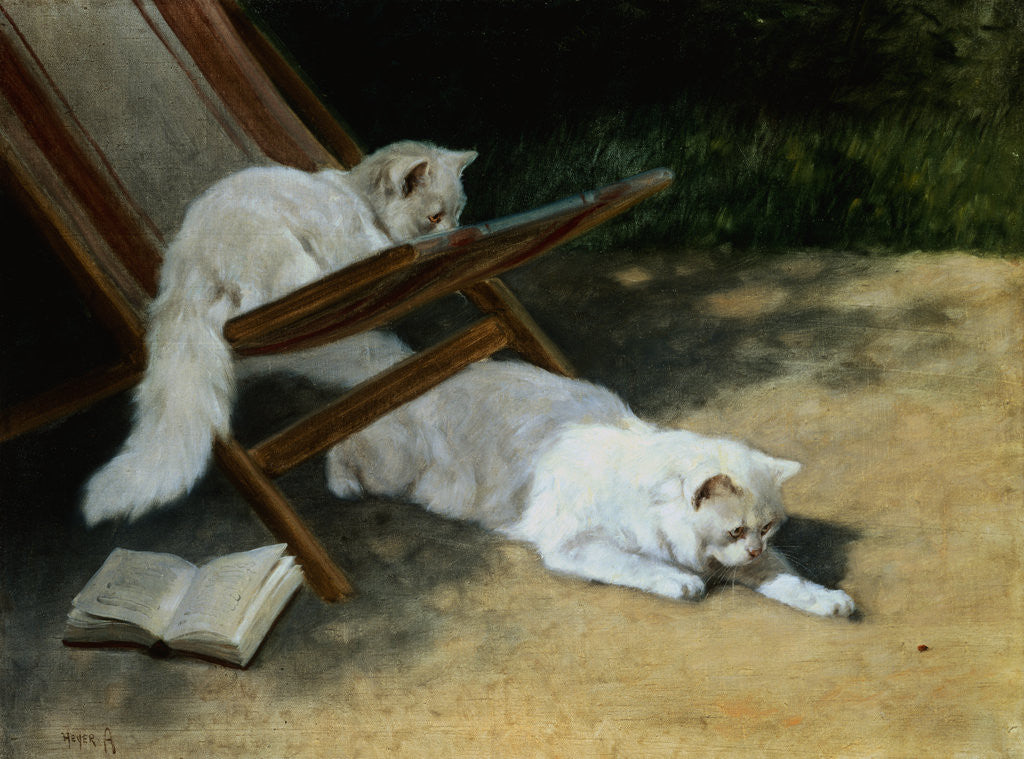 Detail of Painting of Two White Persian Cats With a Ladybug by Arthur Heyer