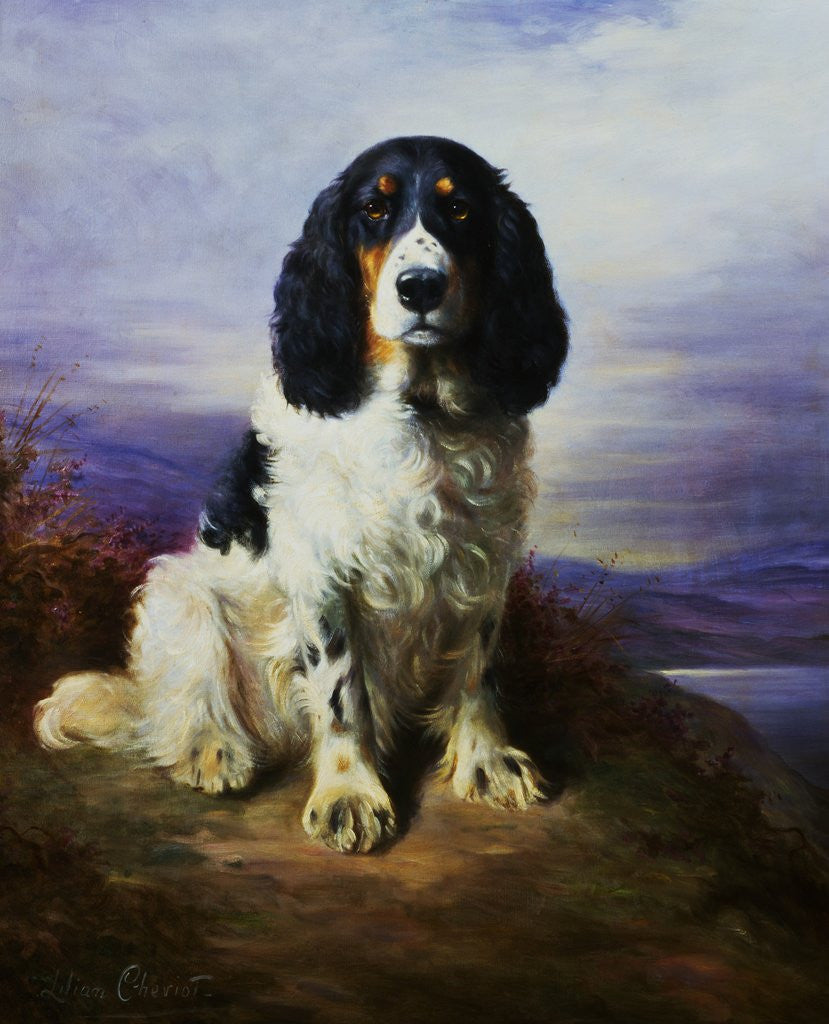 Detail of Royal, A Tri-Colour Working Springer Spaniel by Lilian Cheviot