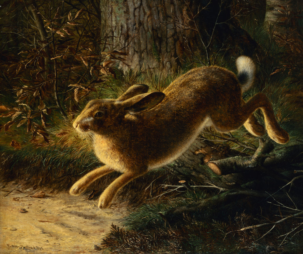 Detail of A Hare in a Landscape by Emma Mulvad
