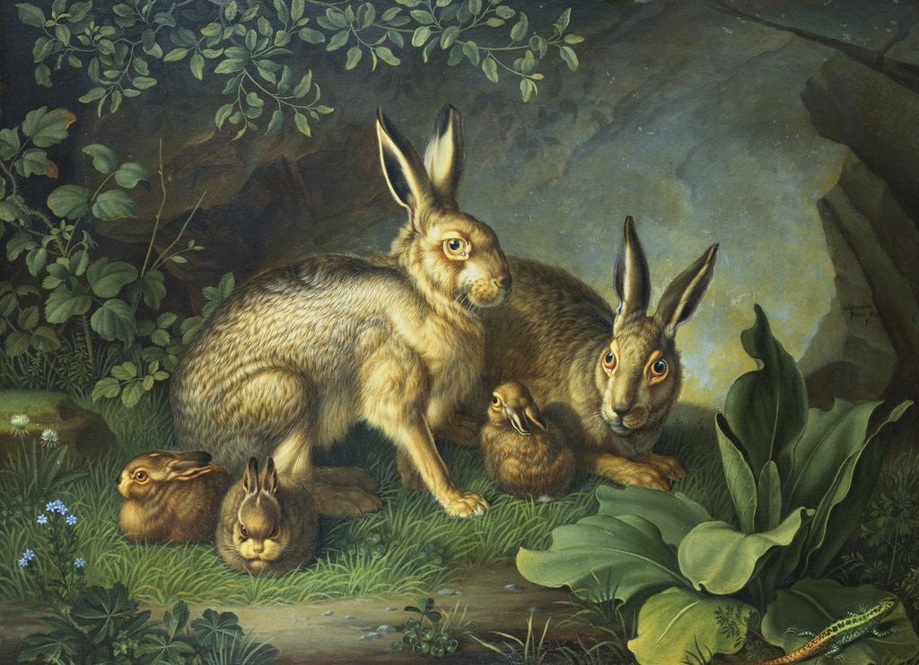 Detail of Hares and Leverets in a Rocky Lair by Wenzel Peter