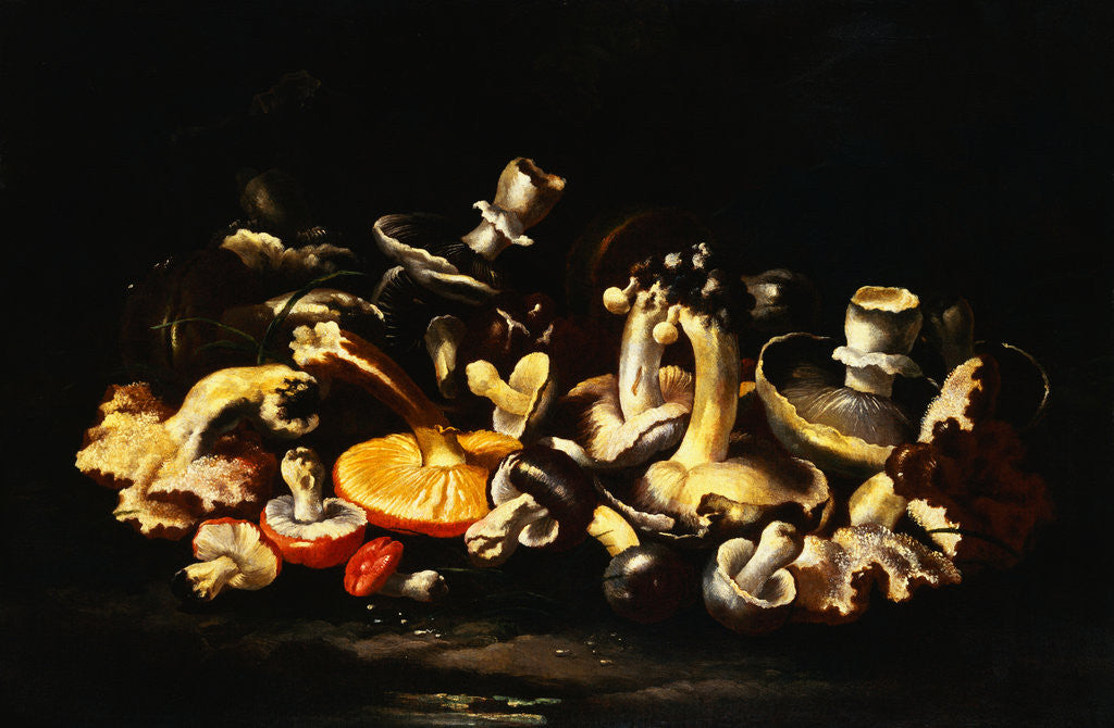 Detail of A Still Life of Mushrooms on a Rocky Bank by Giovanni Battista Ruoppolo