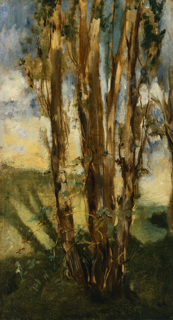 Detail of Study of Trees by Edouard Manet
