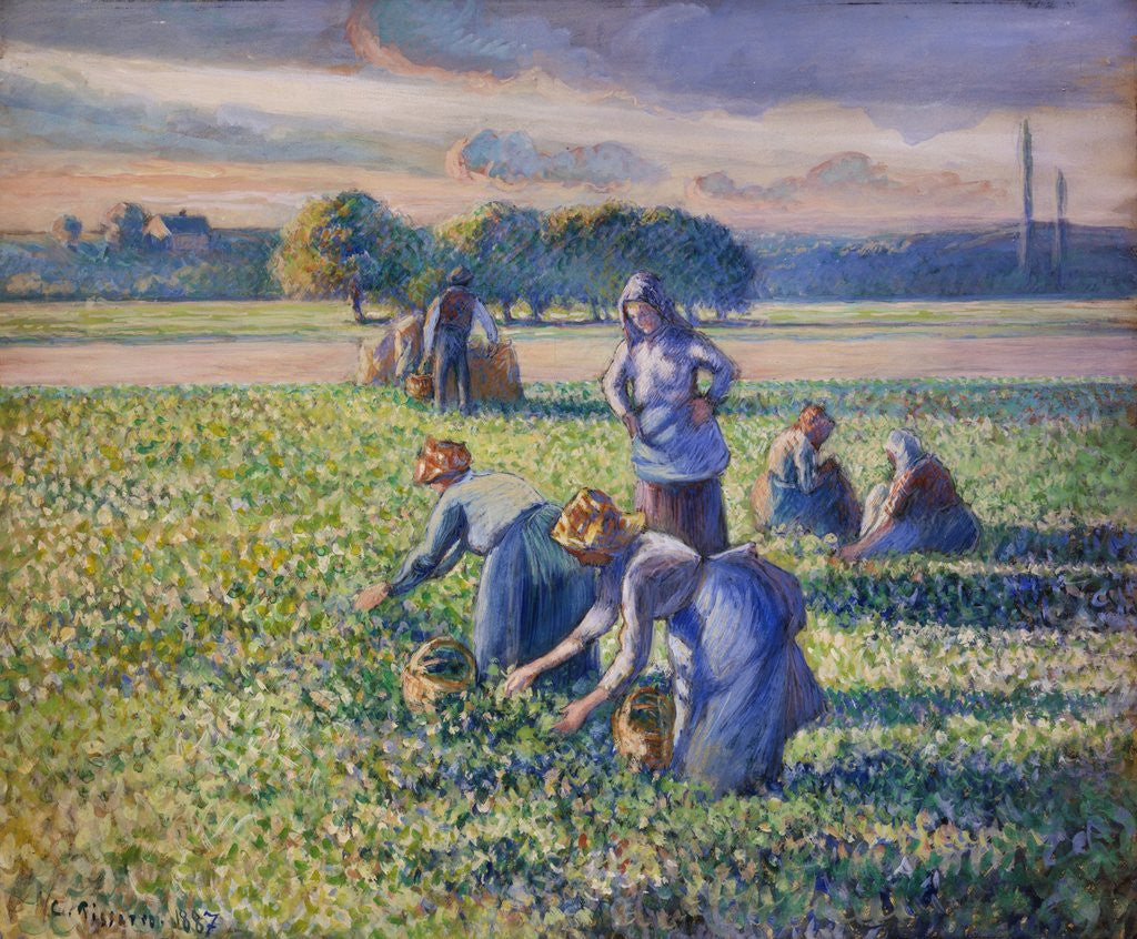 Detail of The Pea Harvest by Camille Pissarro