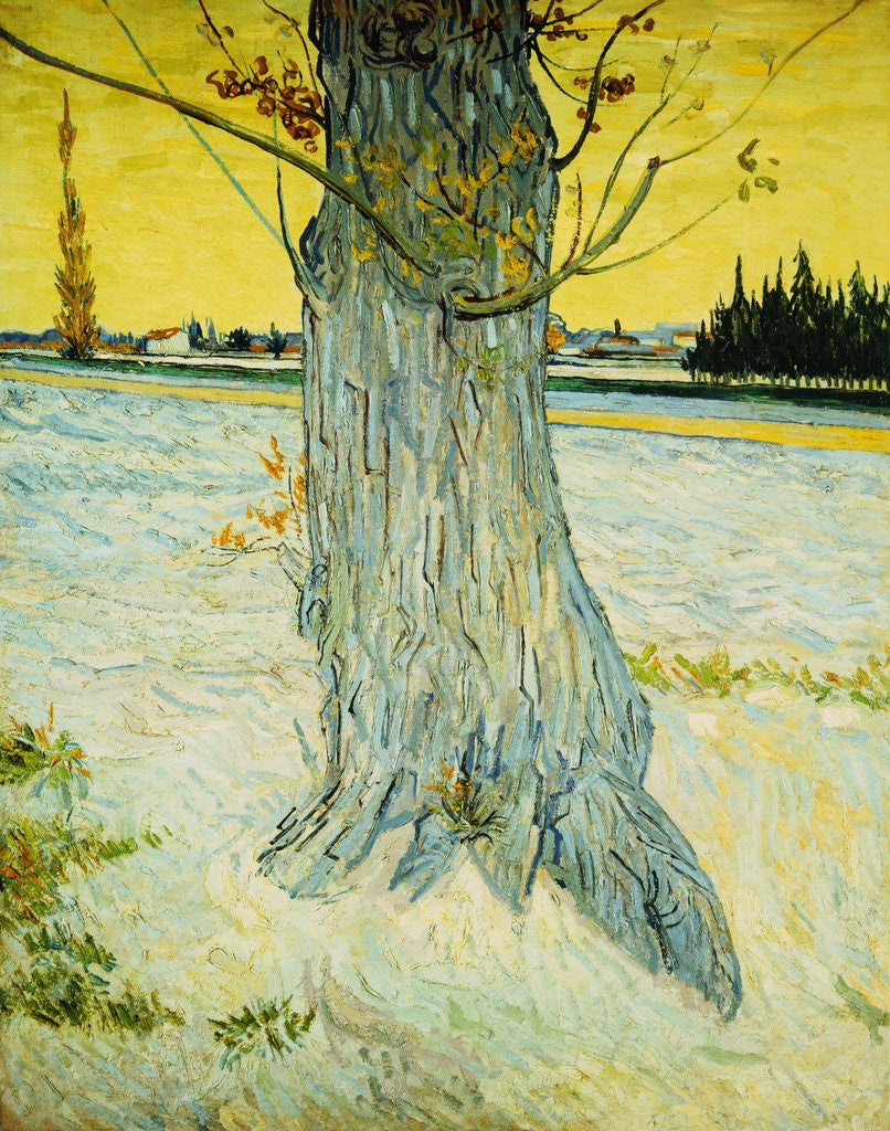 Detail of The Old Yew by Vincent Van Gogh
