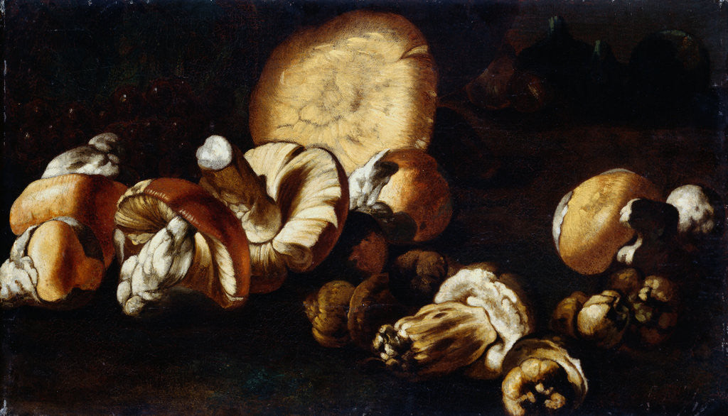 Detail of Painting of Porcini Mushrooms by Circle of the Pseudo Fardella