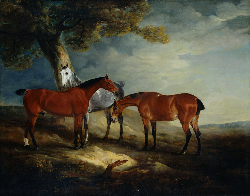 Detail of Painting of Horses in a Landscape by John Ferneley