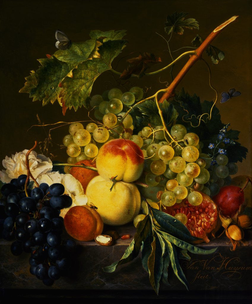 Detail of Fruit Still Life on a Marble Ledge by Jan van Huysum