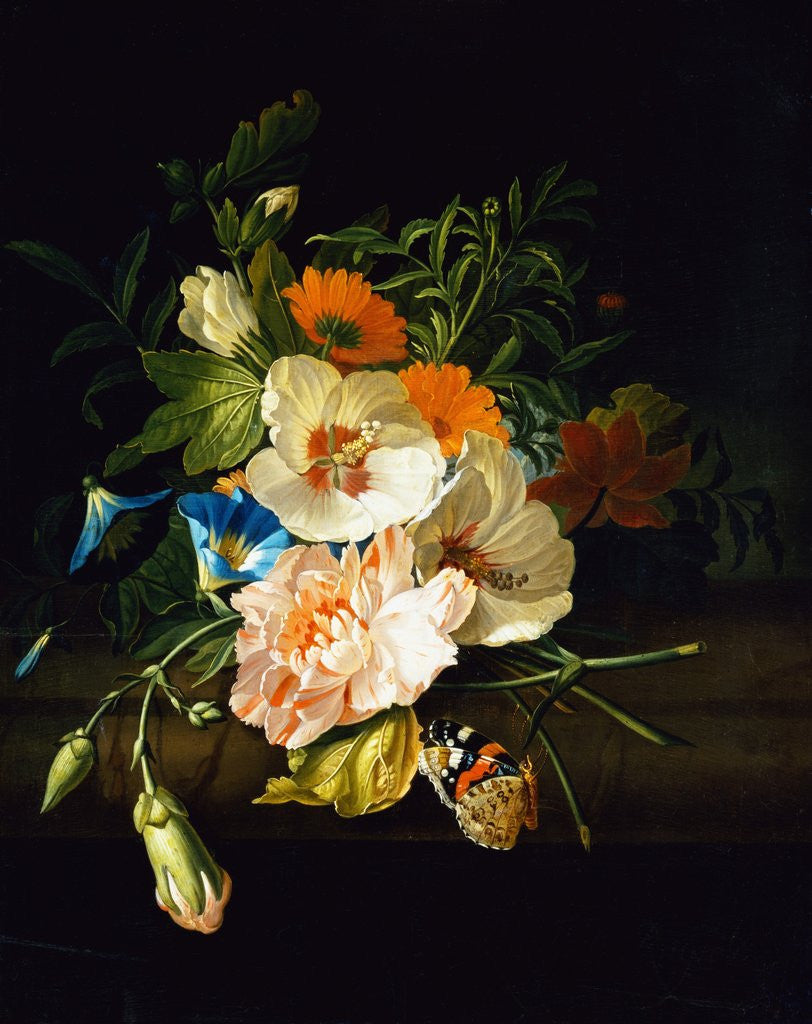 Detail of A Carnation, Morning Glory and Other Flowers by Rachel Ruysch
