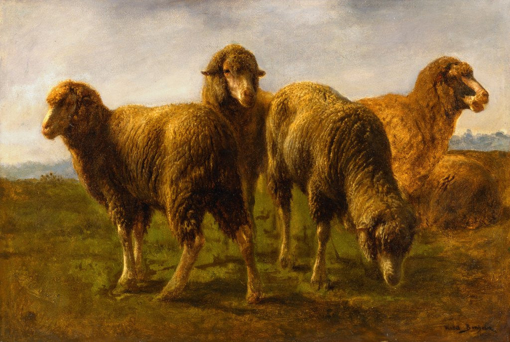 Detail of Sheep Grazing in a Meadow by Rosa Bonheur