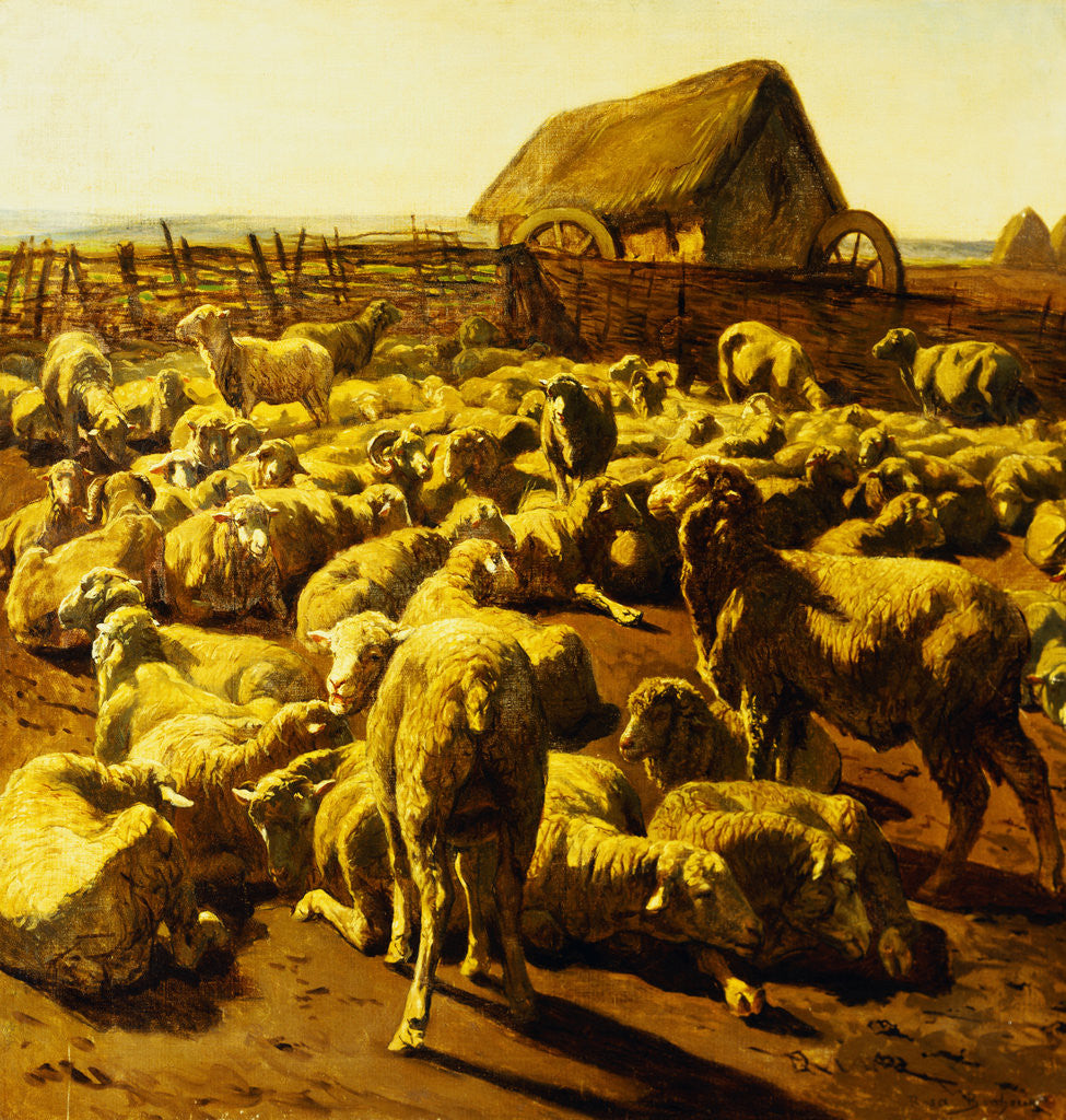 Detail of Sheep by Rosa Bonheur