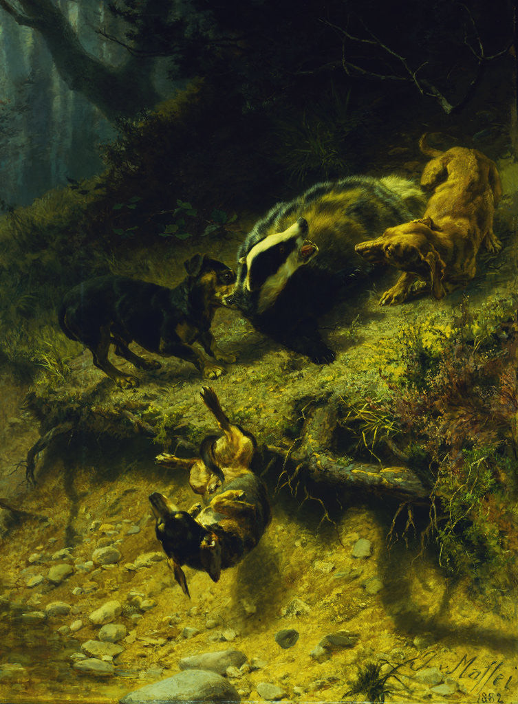 Detail of Dachshunds on a Badger by Guido von Maffei