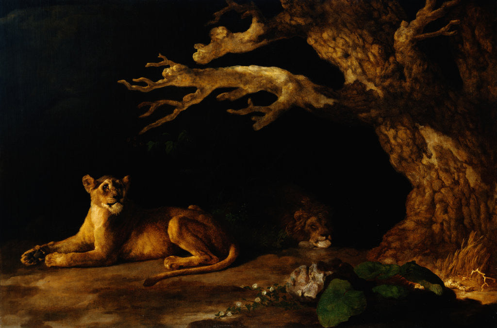 Detail of Lioness and Lion in a Cave by George Stubbs
