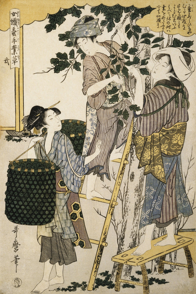 Detail of Print Depicting Women Picking Mulberry Leaves from Silkworm Culture by Women by Utamaro