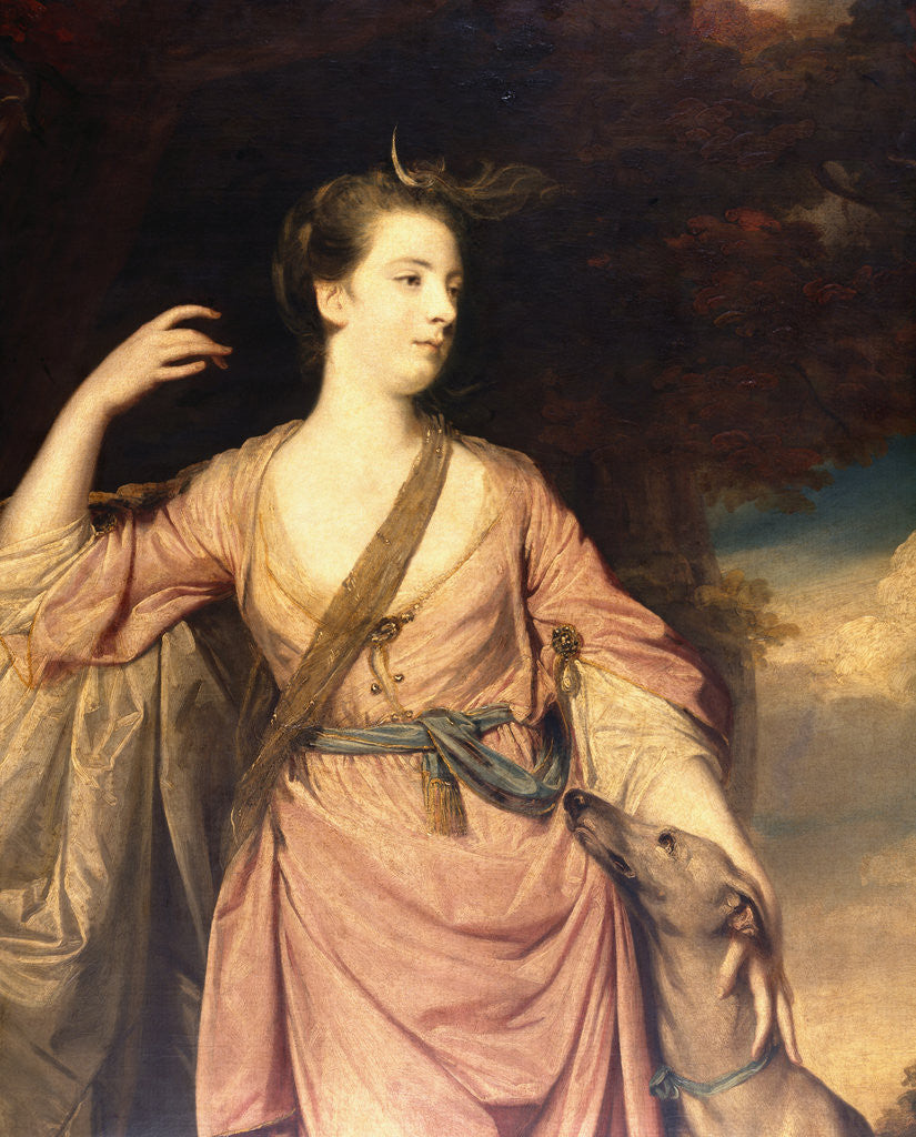 Detail of Lady Anne Dawson by Joshua Reynolds