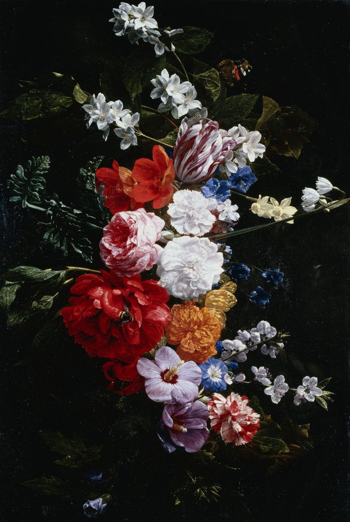 Detail of A Swag of Pink and White Roses by Nicolaes van Veerendael