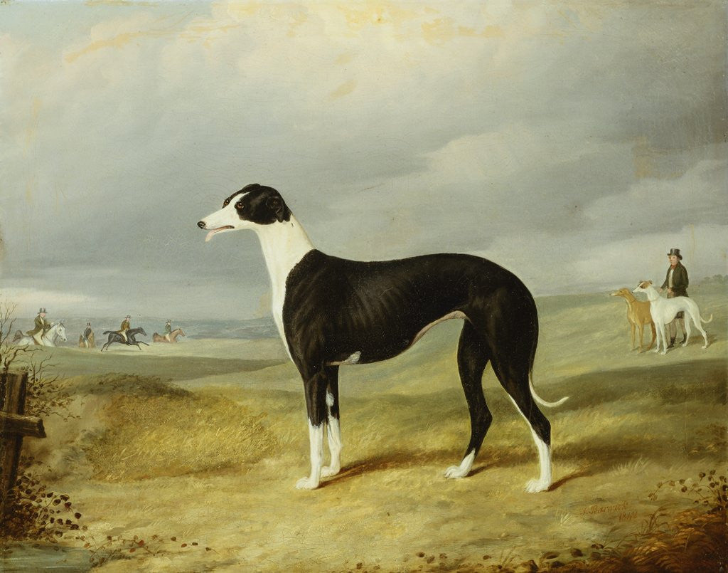 Detail of A Black and White Greyhound in an Open Landscape, with Hunters and Huntsmen Beyond by John Barwick