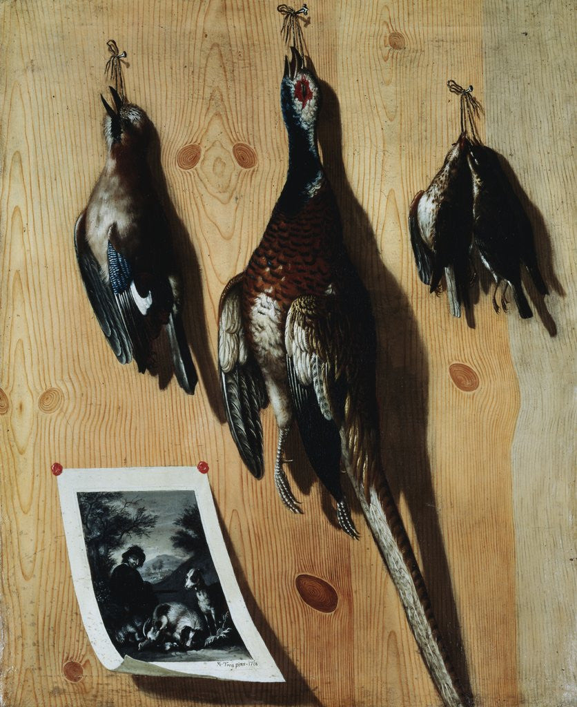 Detail of Trompe l'oeils: A Cock Pheasant, Finches and Song Birds by Marquard Treu