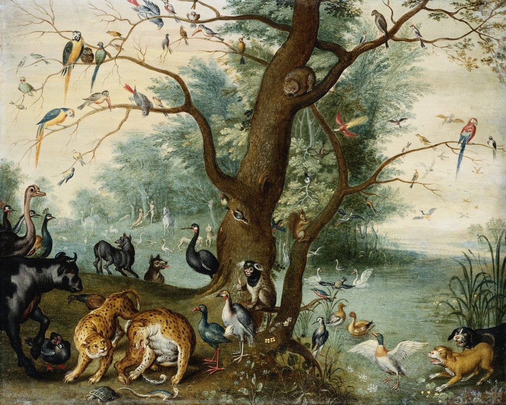 Detail of Animals and Birds in the Garden of Eden by School of Ferdinand van Kessel