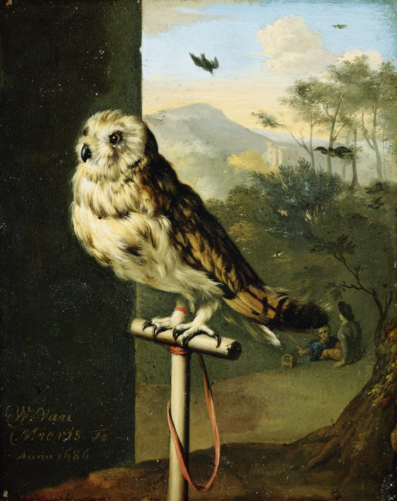 Detail of An Owl on a Perch by Willem van Mieris