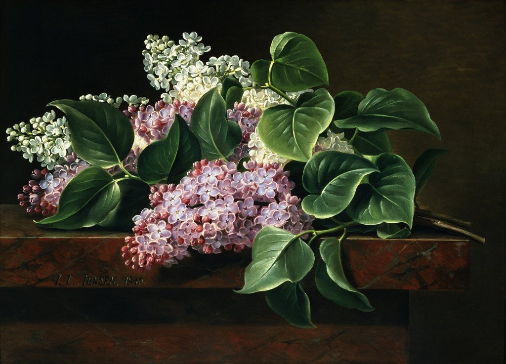 Detail of Lilac on a Ledge by Johan Laurentz Jensen