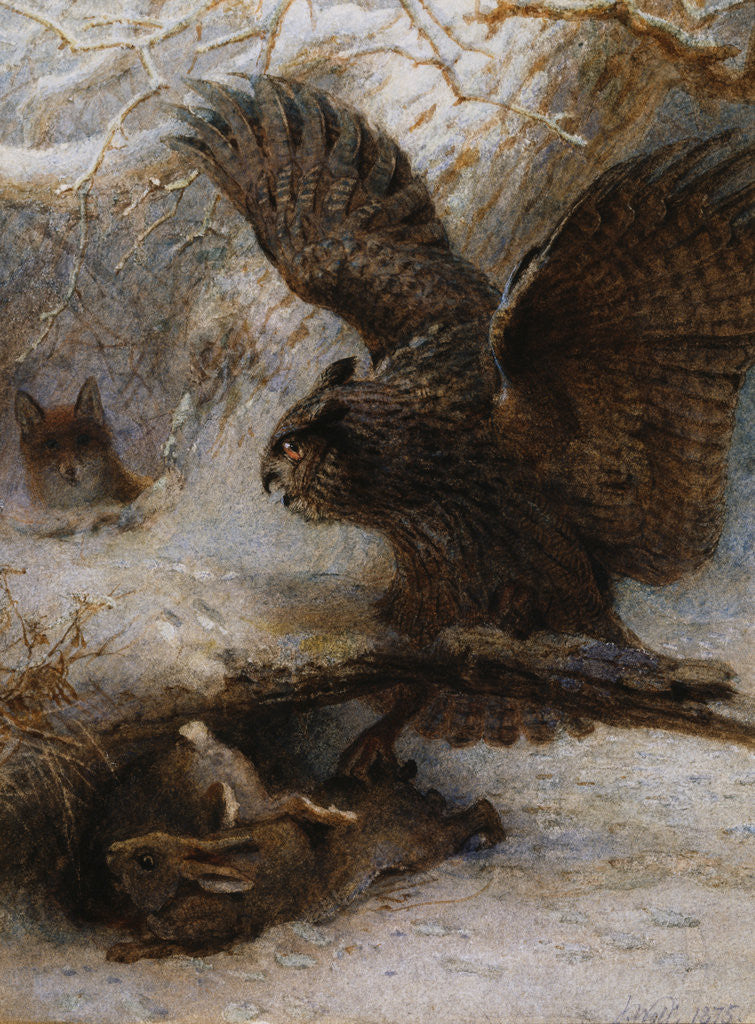 Detail of A Hair-Breadth Escape: An Owl, a Fox and a Hare by Joseph Wolf
