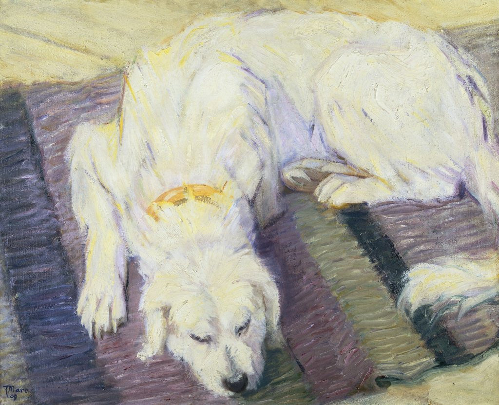 Detail of Dog Lying Down (Dog Portrait) by Franz Marc