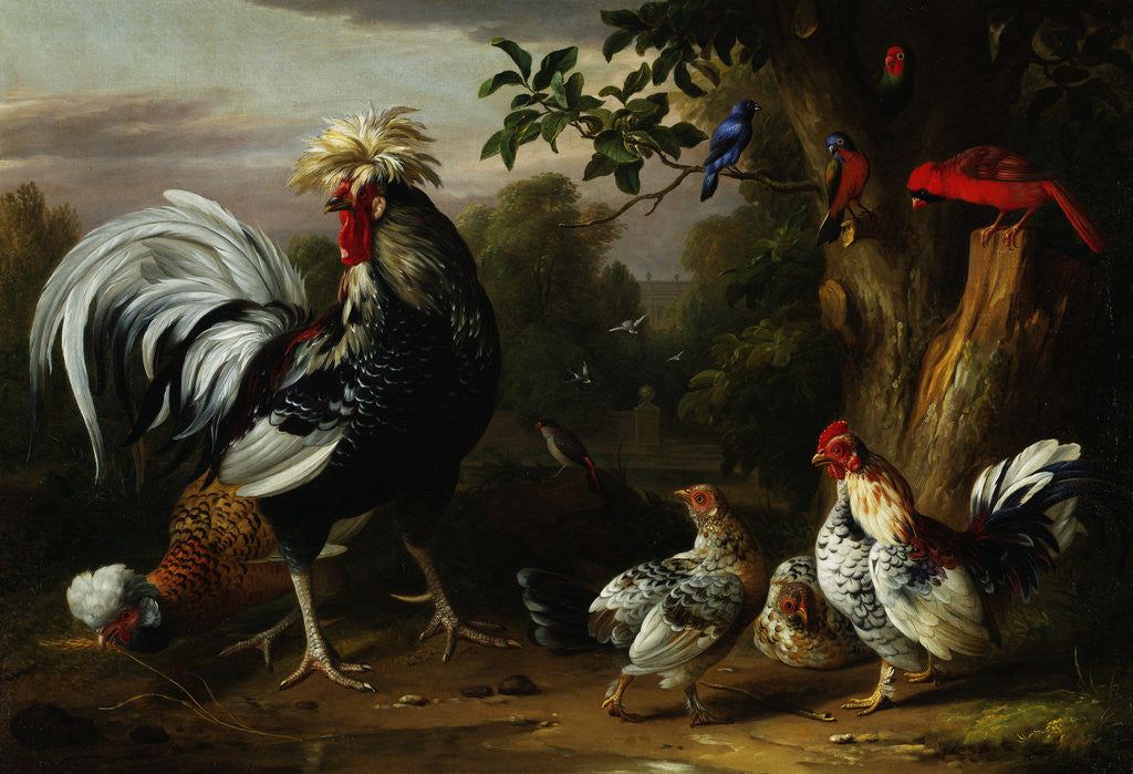 Detail of Poultry and Other Birds in the Garden of a Mansion by Jakob Bogdany