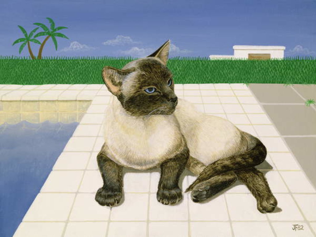Detail of Siamese cat by a swimming pool by Joan Freestone