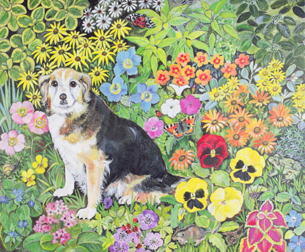 Detail of Caylie in the Border by Hilary Jones
