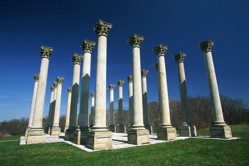 Detail of National Capitol Columns in the National Arboretum by Corbis