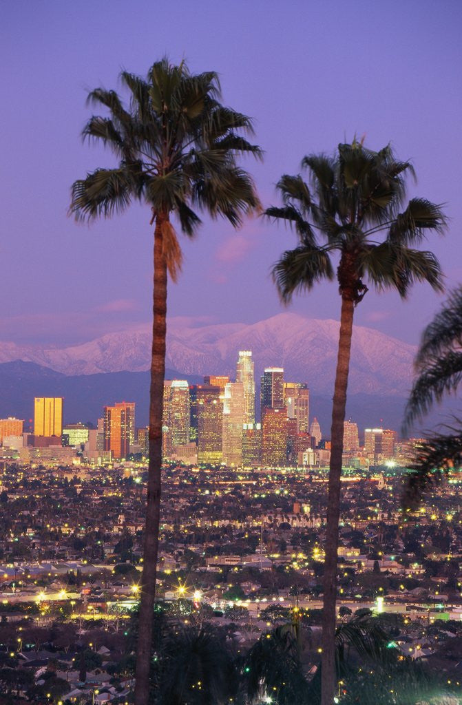 Detail of Two Palm Trees with Distant Los Angeles by Anonymous