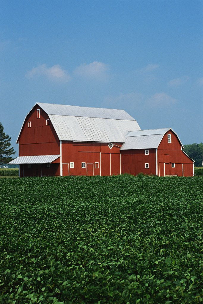 Detail of Barn and Corn Field by Anonymous