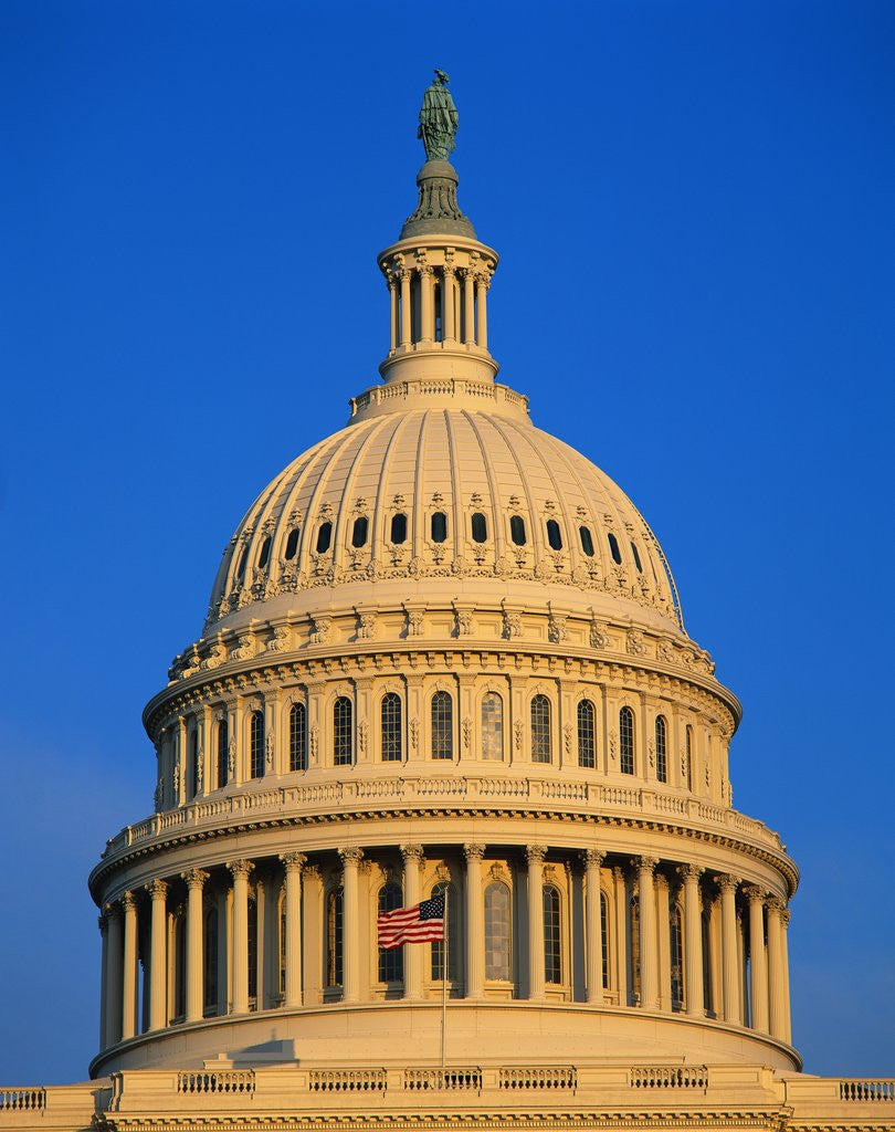 Detail of Dome of the United States Capitol by Corbis